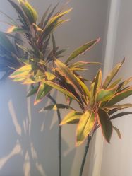 -悦润荟美容抗衰中心