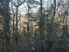 -敬亭山风景名胜区