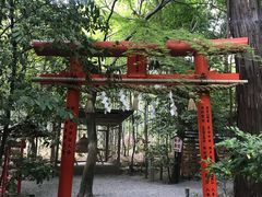 -野宫神社