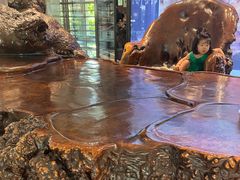 -春晖园度假酒店温泉