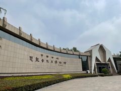 -中国西峡恐龙遗迹园