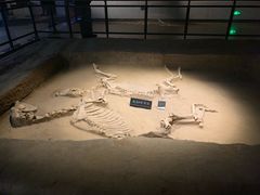 -洛阳周王城天子驾六博物馆