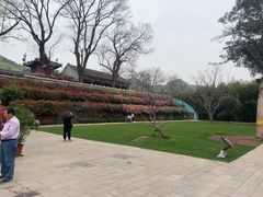 -红螺寺