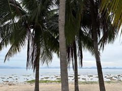 -三亚西岛海洋文化旅游区