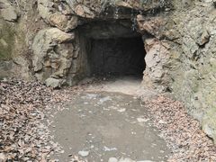 -上海佘山国家森林公园天马山园