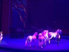 -珠海横琴长隆《卡卡虎奇遇记》