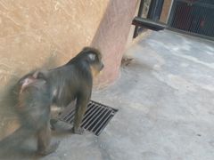 -石家庄市动物园