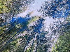 -南京市无想山景区