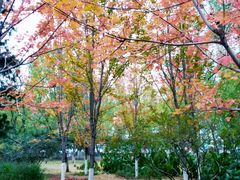 -辽宁大学(崇山校区)