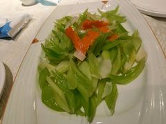 -丁老爷子苏香圆