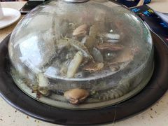 -港畔赶海蒸汽海鲜烧烤自助(仙螺岛店)