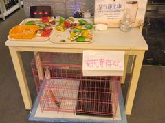 -好玩工厂密室·鹅鸭杀·桌游拼豆电玩