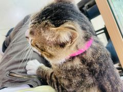 -玉椰林甜品店(创始店)