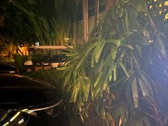 -宴悦海鲜餐厅·游水海鲜·牛排(亚龙湾瑞吉店)