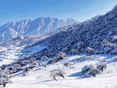 -太子岭滑雪场