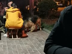 -老三烧烤(二环西路店)