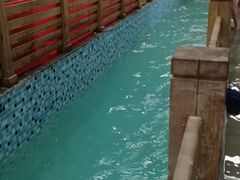 -南宫温泉水世界