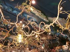 -八斗鸡·湘土菜(国贸店)