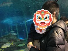 -太平洋海底世界