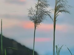 -武当山风景区