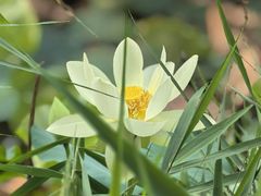 -木塔寺遗址生态公园