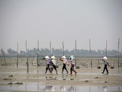 -北海金海湾红树林生态旅游区