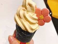 -麦当劳(洪山商场店)