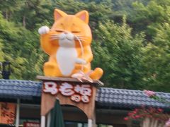 -丽泽山庄·生态怀柔菜·虹鳟鱼(红螺寺店)