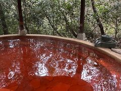 -天目湖涵田半山温泉水乐园