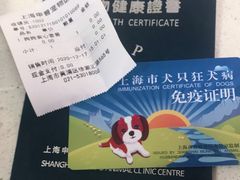 -申普宠物医院·心脏介入·心血管微创(总院)