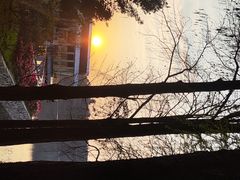 -白云湖畔酒店-湖畔餐厅