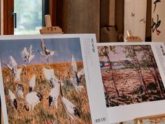 -盐城丹顶鹤湿地生态旅游区