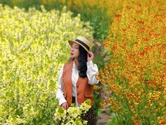 -三圣花乡旅游区