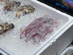 -顺德渔村·岭南一号