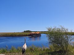 -黑龙江扎龙生态旅游区
