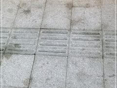 -八婆婆烧仙草(中山路店)