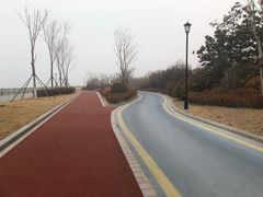 -星光岛