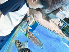 -泉城欧乐堡海洋极地世界