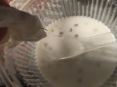 -小草糖水(海棠村店)