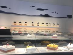-BLACKSWAN黑天鹅(环球店)