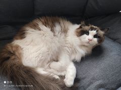 -零纪元VR体验馆·桌游(黄浦店)