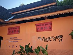 -西双版纳傣族园