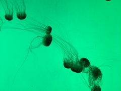 -沈阳海洋探索中心