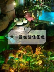 -恐龙探索乐园(磁器口店)