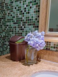 -尊尚柏丽美容SPA