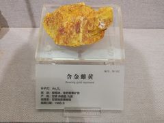 -湖南省地质博物馆