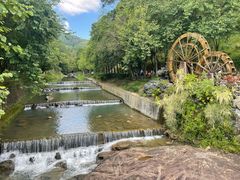 -广州白江湖森林公园