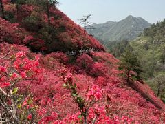 -木兰云雾山
