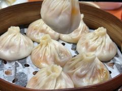 -莱莱小笼·乔艾