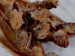 -沪依小酒馆心意菜